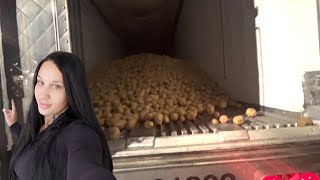 Delivering 43,000 Pounds Of Loose Potatoes