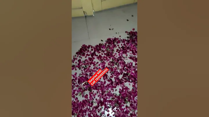 Romantic Decoration| First Night Decoration| Balloon Decoration#romantic #firstnight #shorts #viral