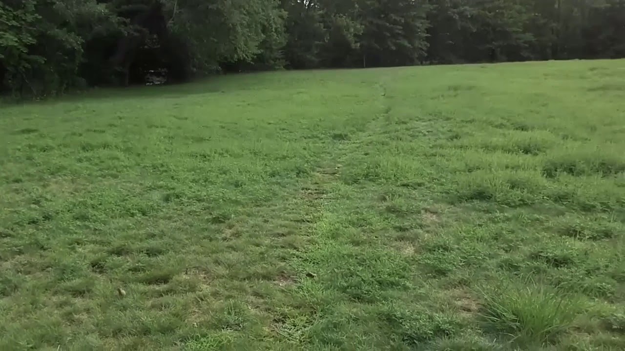 dji tello camera quality