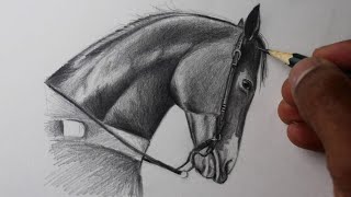 Como desenhar um cavalo - passo a passo - narrado 