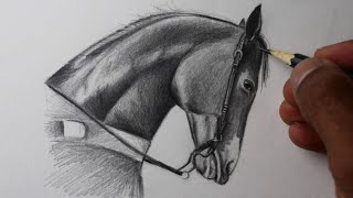 Desenhando um cavalo - Desenho rápido - Peão montado no cavalo - Drawing 