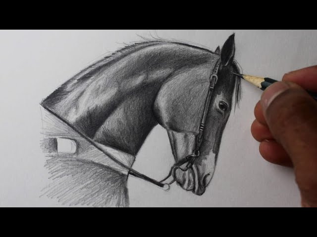 Uma mulher mata seu cavalo desenho de uma linha de fazendeiro e