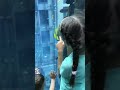 Аква лифт. Берлин, Германия. AquaDom &amp; SEA LIFE. Aqua lift. Berlin, Germany #shorts