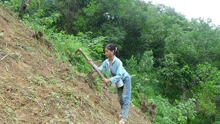 Poor Girl - Clean The Grass In The Hills And Plant Corn - Green Forest Life