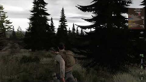 Killed an Arma 2 DayZ hacker