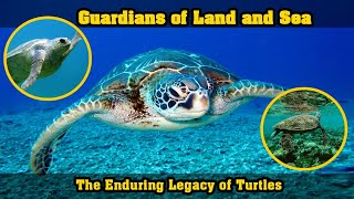 The Enduring Legacy of Turtles: Guardians of Land and Sea