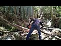 竹林再生プロジェクト糸島