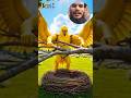 ai jagira aur kauve ki story #ai #aivideo #trending #reels #aiemotionalstory #shorts #viral