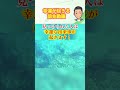幸運を引き寄せる前兆動画#shorts #ウミガメ #引き寄せの法則