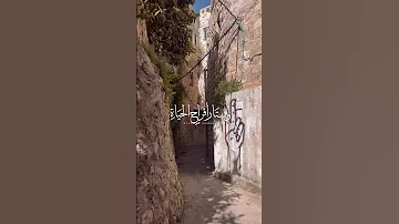 رحل الذين نحبهم حالات واتس اب اناشيد 