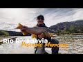 Pescando marrones con la Caña Vision Toka! | Río Rivadavia.