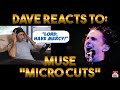 Dave's Reaction: Muse — Micro Cuts