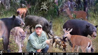 Tim Harrell - Swamp Trail Camera Pickup