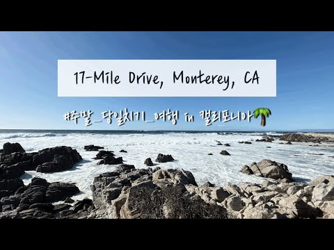 미국일상 캘리포니아 17 Mile 드라이브 산호세 근교 당일치기 여행 추천 