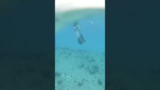 Download Lagu that's a LOOONG pole #shorts MP3