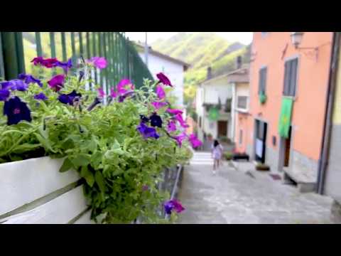 Video: Che Meraviglioso Corniolo Di Bacche