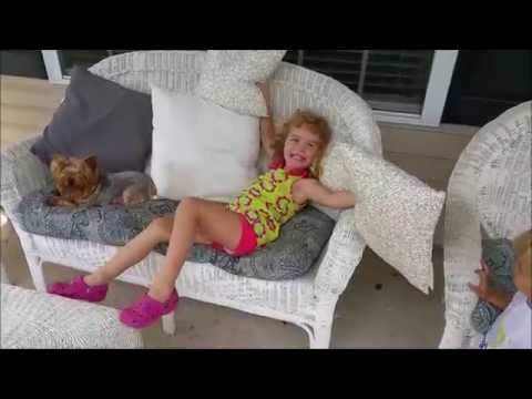 American Signature Furniture Chaise Commercial Remake