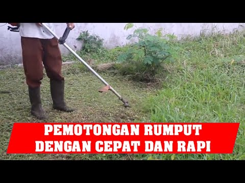 Cara Memotong Rumput dengan Cepat