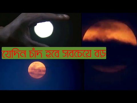 ভিডিও: মুন ব্লাডগুড: জীবনী, সৃজনশীলতা, কেরিয়ার, ব্যক্তিগত জীবন