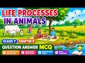 Class 7 Science Chapter 9 | Life Processes in Animals | Curiosity Textbook question answers MCQ