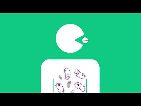 Antibiotic Resistance: How