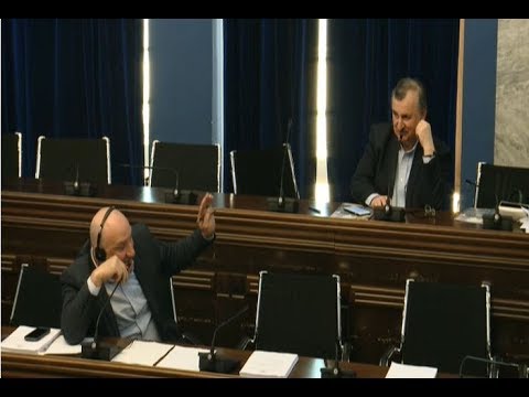 ულვაშიანო კაცო, გაჩუმდი და წყნარად მომისმინე, იქნებ რამე შევიდეს თავში - კვიციანი გოცირიძეს