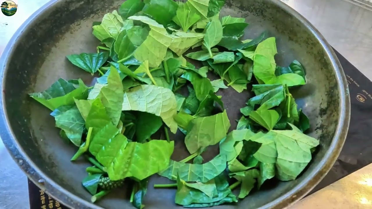 BÀI THUỐC ĐẶC TRỊ ĐAU NHỨC XƯƠNG KHỚP TÊ BÌ TAY CHÂN CỰC KÌ HIỆU QUẢ