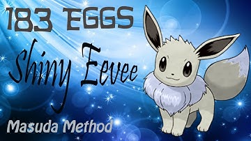 (183rd egg) Shiny Eevee hatched in Pokemon Y with the Masuda method