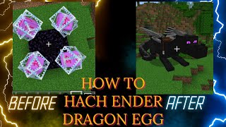 How to hatch Ender dragon egg in Minecraft