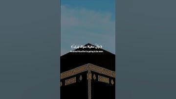 الآيات 39-41 من سورة النجم