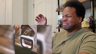 TRY NOT TO LAUGH 😂 Best Funny Videos 😆 Memes PART 5 - Reaction!