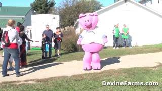 Fall Family Fun - Pumpkin Farm 25 min. from Columbus, Ohio