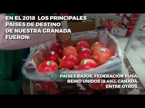 agroexportación de aguacates y diabetes