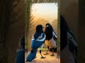 La hurraca, pequeña pero increíblemente inteligente. #viral #aves #birds #reels