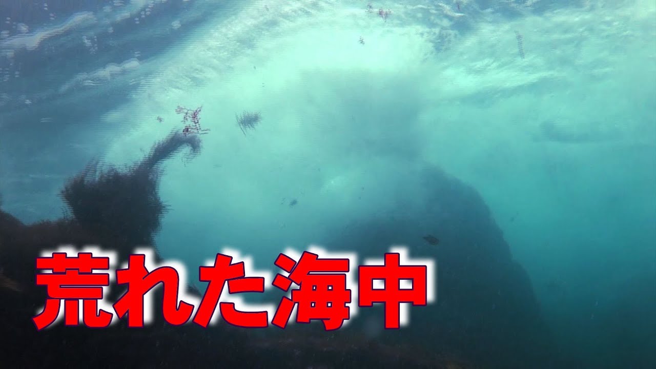 海の中 荒波 】海中から見た荒れた海 Underwater image of rough sea - YouTube