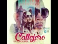 Tego Calderon ft Don omar – Callejero (Audio/Original)