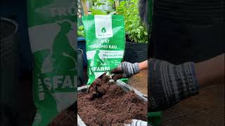 Trồng rau dễ hơn với Đất Trồng Rau SFARM #lamvuonnhantenh  #sfarm