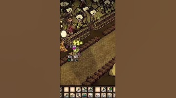 Current Tall Bird solution! #dontstarvetogether #dst #shorts #tallbird