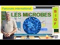 Parcours international biof les microbes