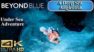 The Deadly Deep Sea Anglerfish | Beyond Blue - An Ocean Adventure | 4K screenshot 4