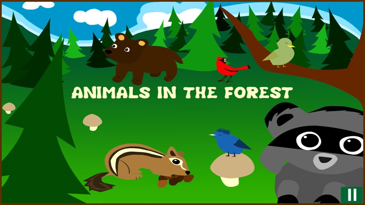 Learn Forest Animals Names And Sounds For Kids YouTube Learn Forest Animals Names And Sounds For Kids YouTube