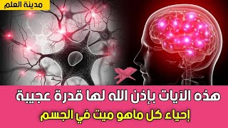 رقية بأعظم الآيات لها قدرة عجيبة في إحياء كل ماهو ميت في الجسم كل ماتأذى من السحر والشياطين بأمرالله