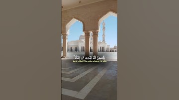 انك لاتهدي من احببت #quran #ياسر_الدوسري #تلاوة_خاشعة #foryou #اكسبلور #video #viral #راحة_نفسية