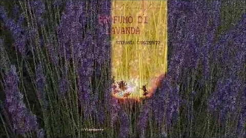Che cosa simboleggia la lavanda?