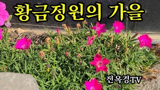 황금정원/가을풍경/전옥경