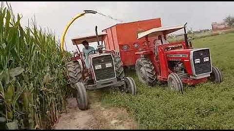 BEST SILAGE MACHINERY BY CATTLEKIT -  "VIGO CHOPPER" KING OF SILAGE