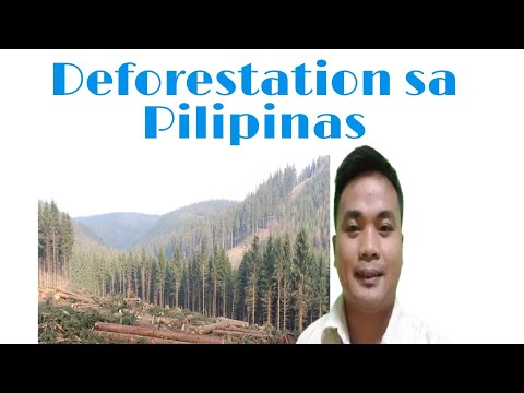 Deforestation- Kahulugan at mga Dahilan