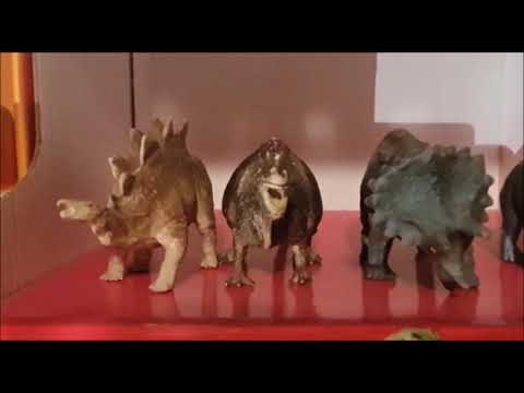 Video: Gdje Je Najveća Kolekcija Kože Dinosaura