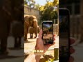 The Crazy First Days Of YouTube You Didn’t Know#fyp #shorts #viral