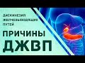 Дискинезия желчевыводящих путей. Причины и рекомендации. Гульнара Мазитова